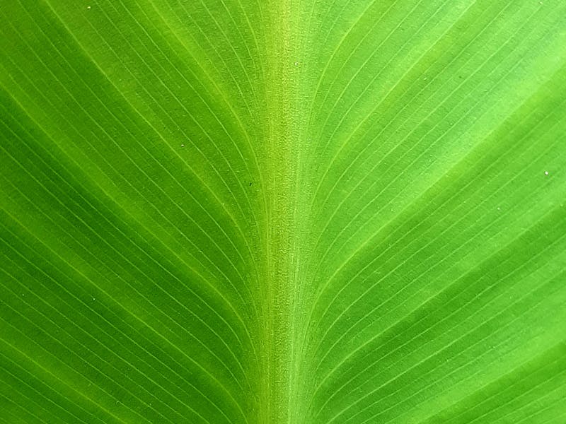 Appointment booking analytics